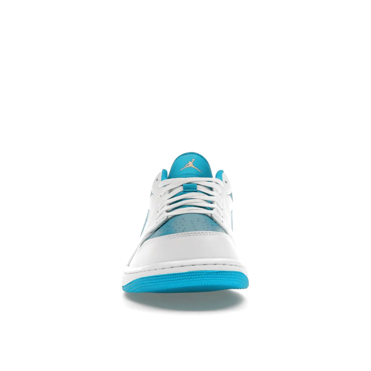 Air Jordan 1 Low Aquatone Professional Flexibility