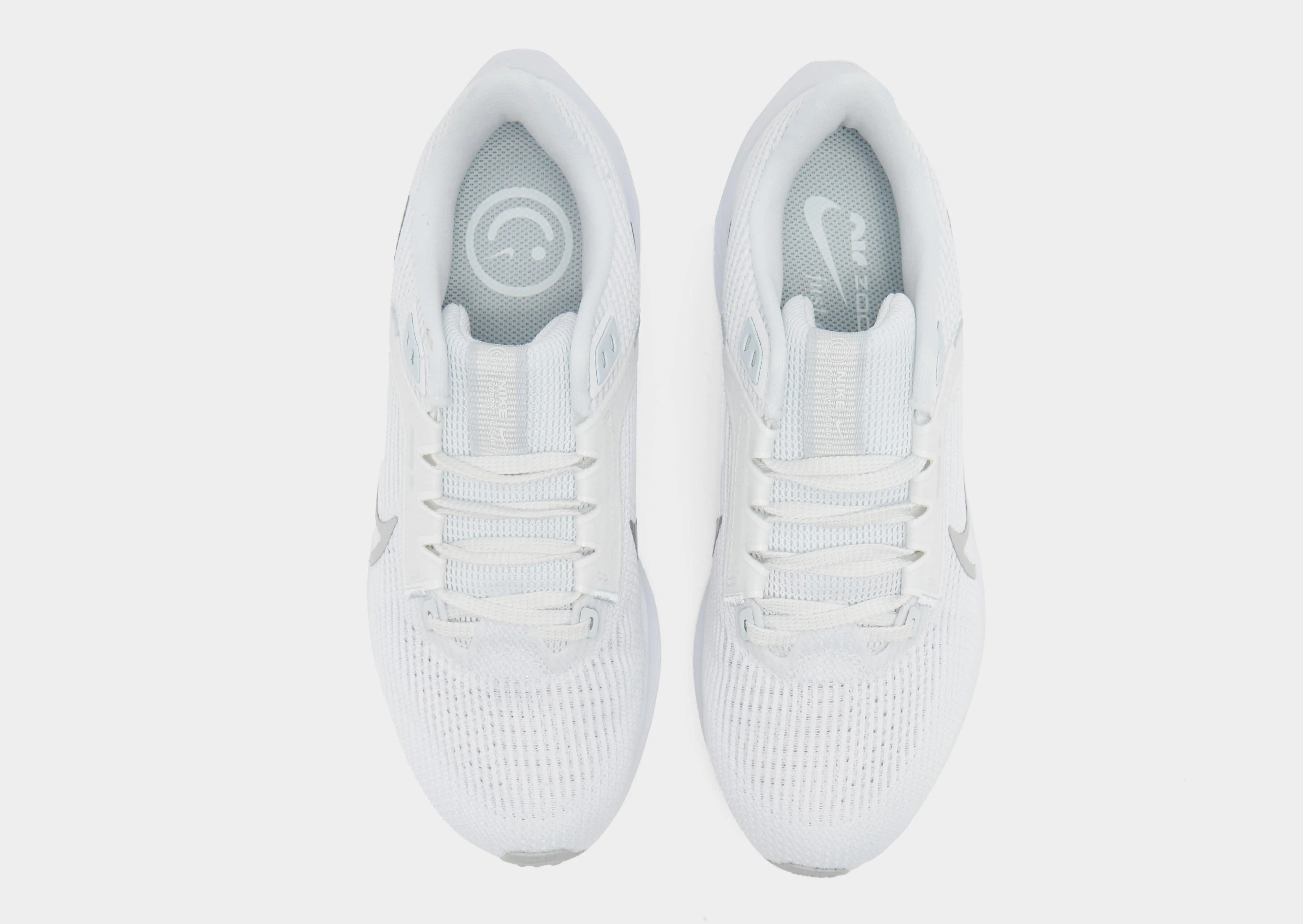 Air Zoom Pegasus 40 Women's Icy-Core