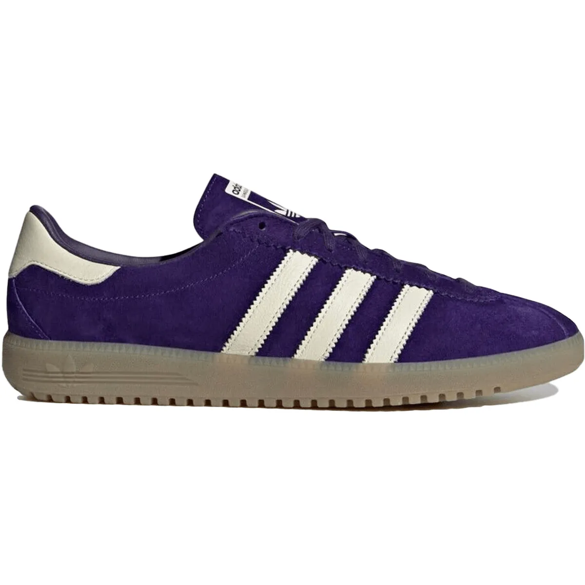 All-day Comfort Adidas Bermuda Collegiate Purple