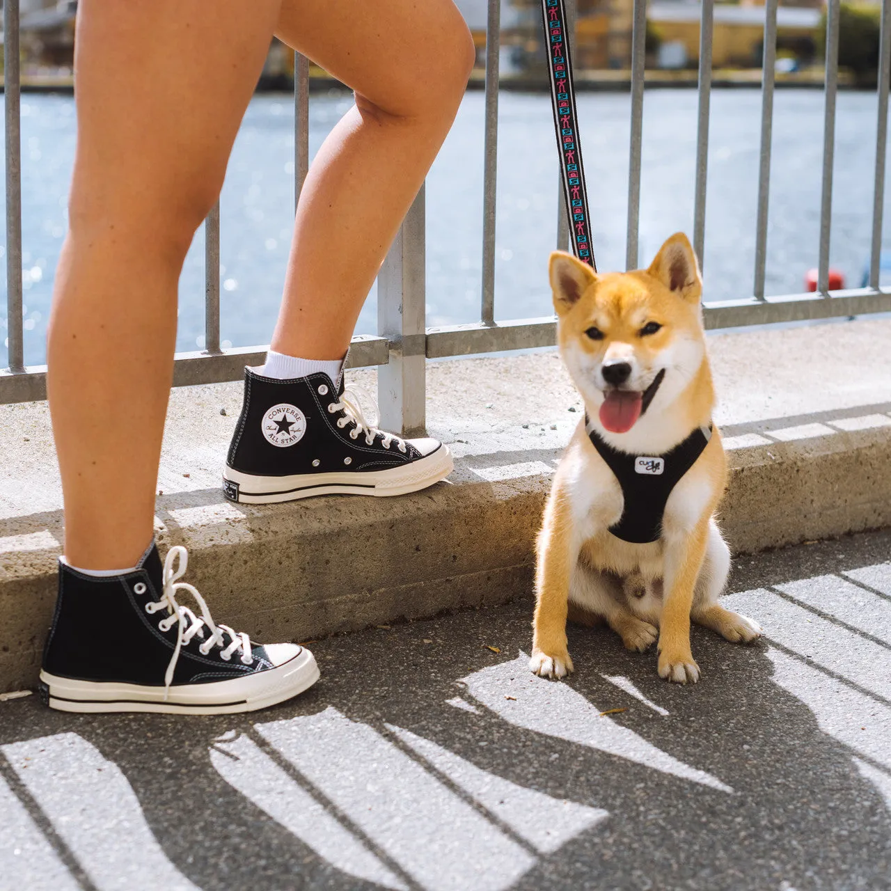 Chuck Taylor 70 Hi Cloud Feel
