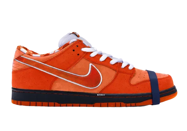 Sleek Shape Slim flexibility Concepts SB Dunk Low Orange Lobster