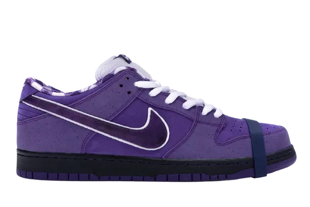 Off-Road Ready Walking Ease Concepts SB Dunk Low Purple Lobster (Special Box)