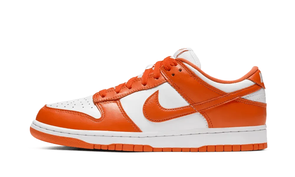 snow walk Nike Dunk Low Syracuse