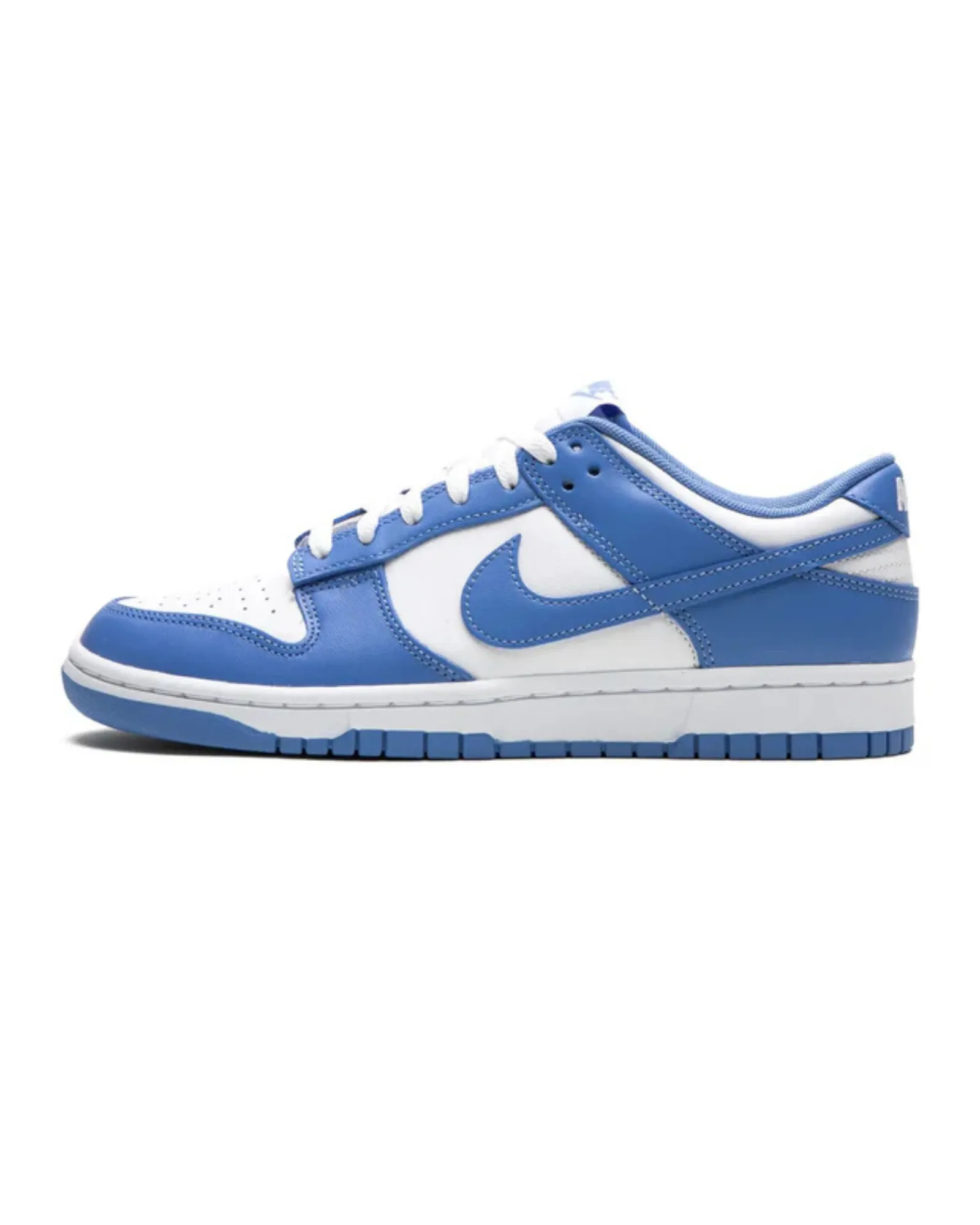 Team Jog Scenic Step Nike Dunk Low Polar Blue