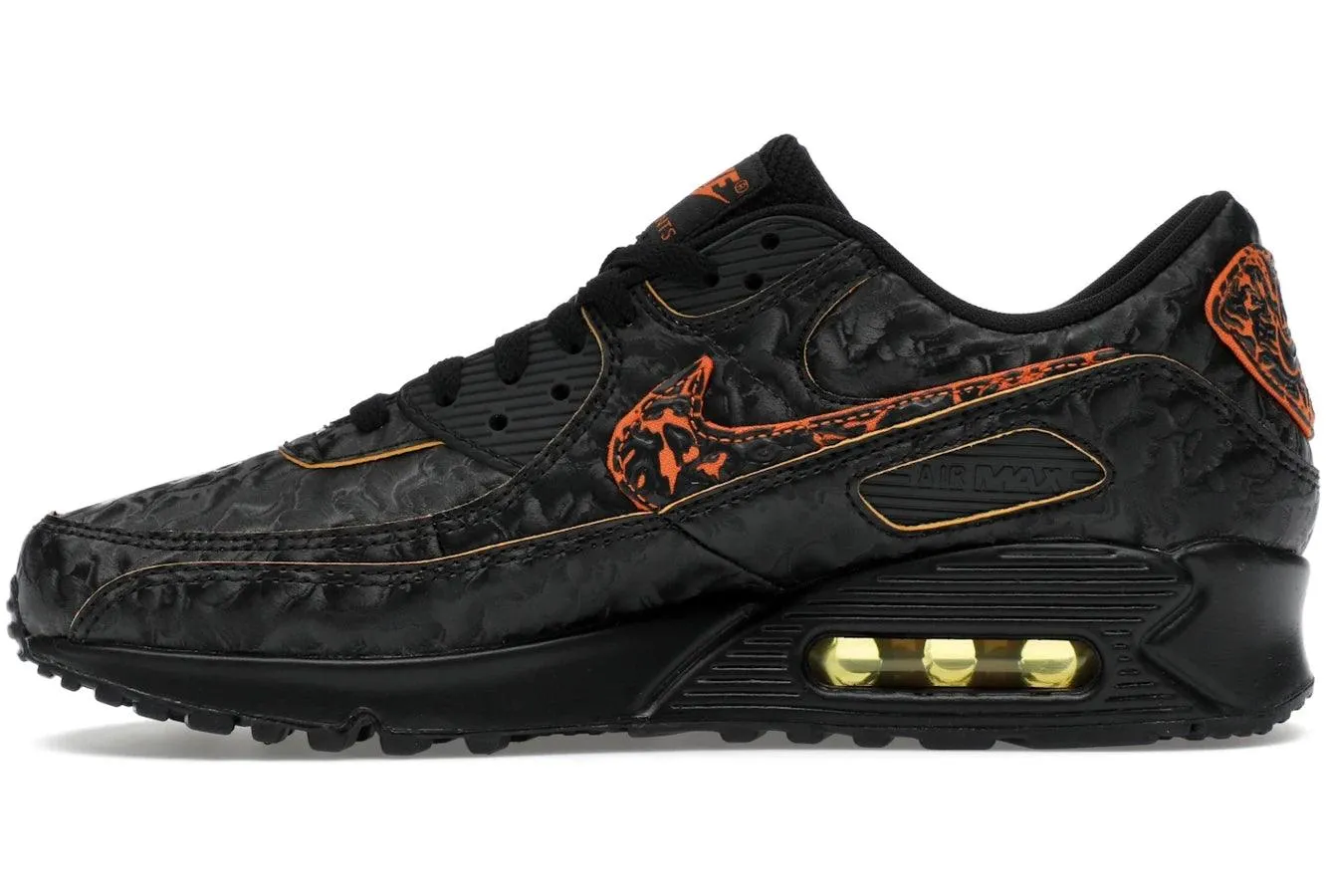 Nike Air Max 90 QS Volcano Wide Concept Product