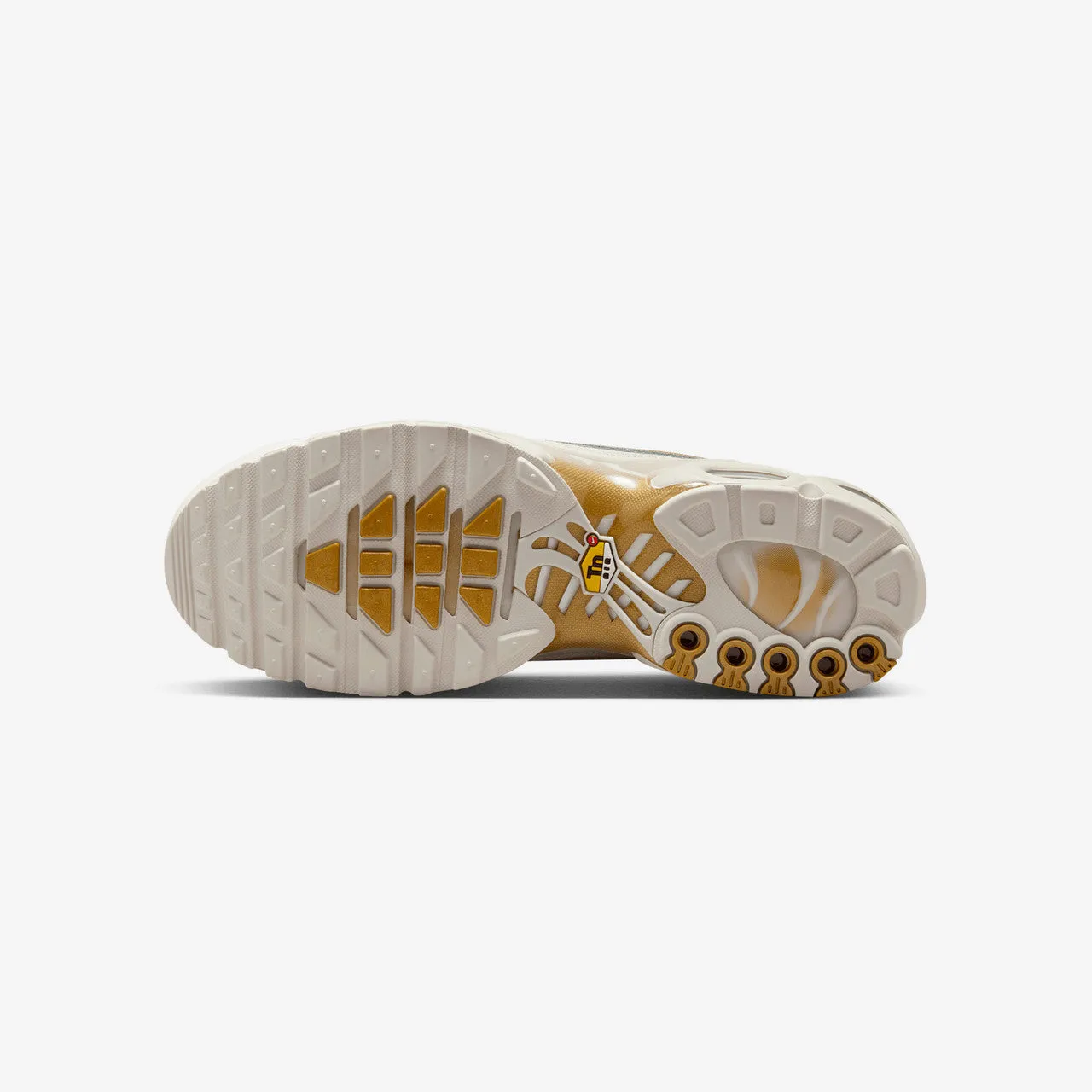 Stability Driven Build Air Max Plus TNPO