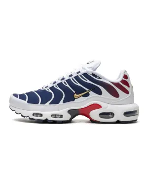 high - mileage shoe endurance Balance training Nike Air Max Plus PSG