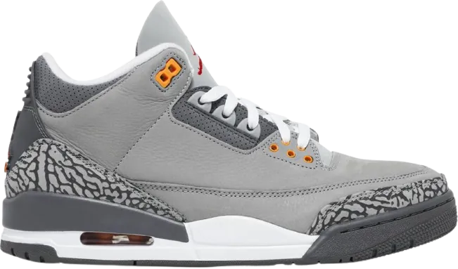 AJ 3 Cool Grey Training Sessions High Density
