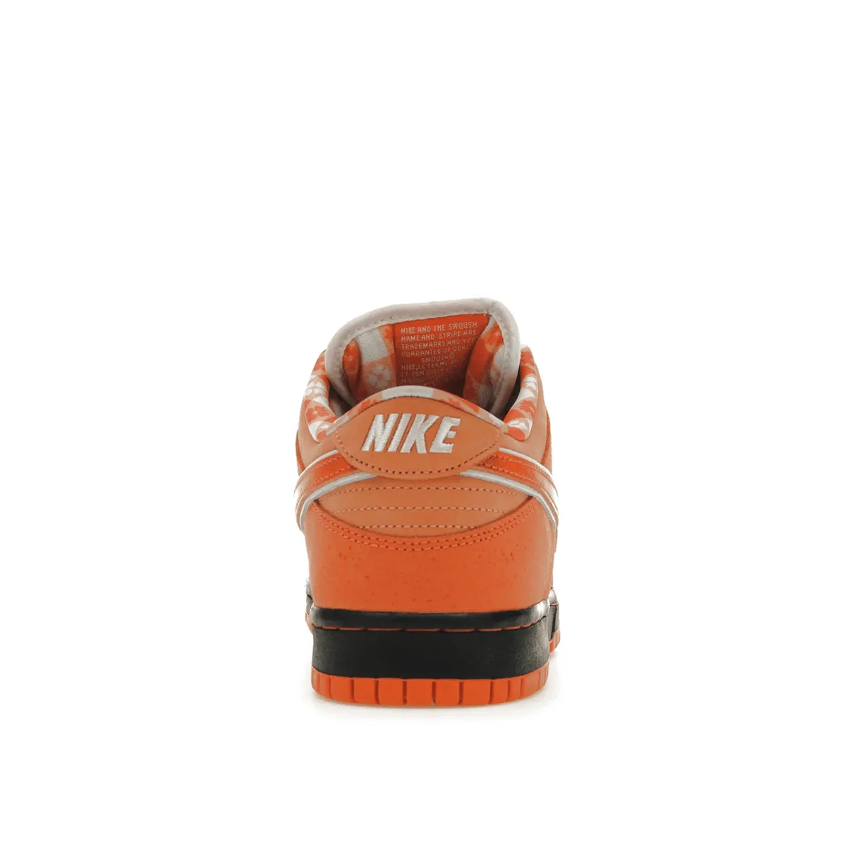Trendy Comfort Nike SB Dunk Low Concepts Orange Lobster