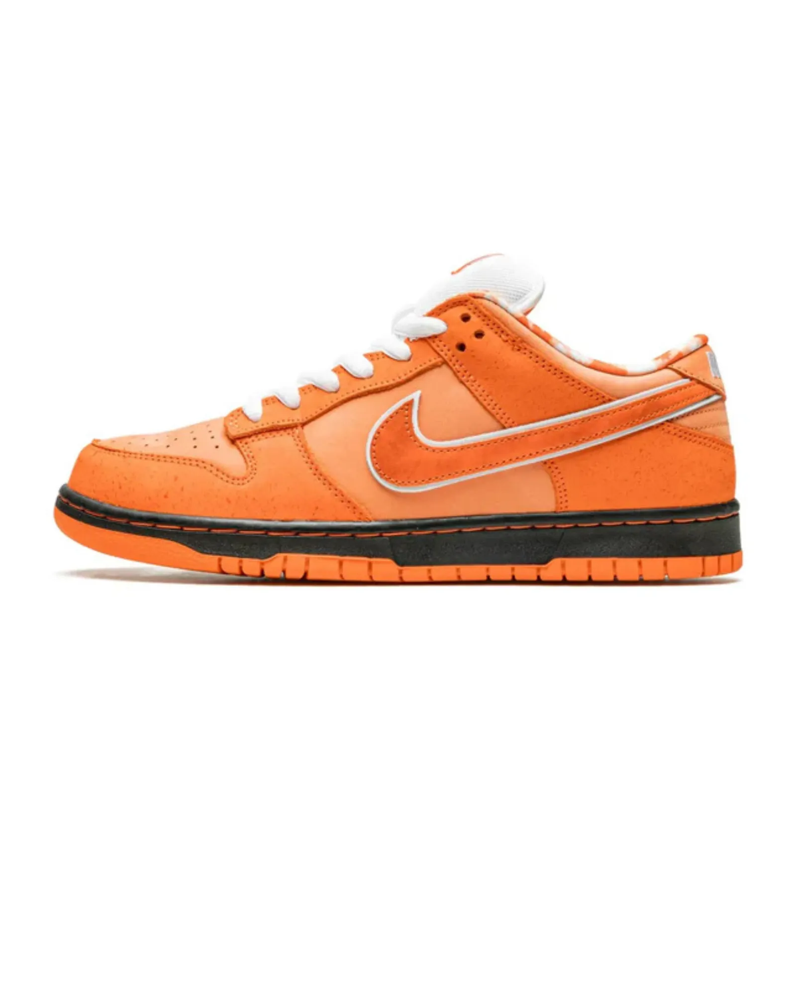 Trendy Comfort Nike SB Dunk Low Concepts Orange Lobster
