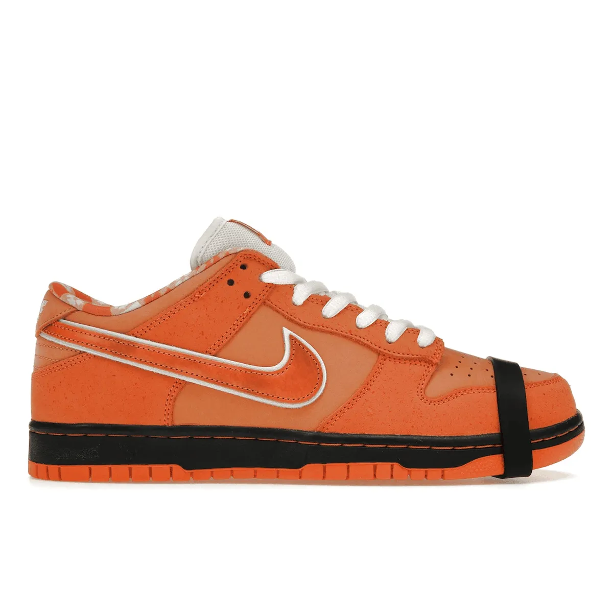 Bright Jog Nike SB Dunk Low Concepts Orange Lobster