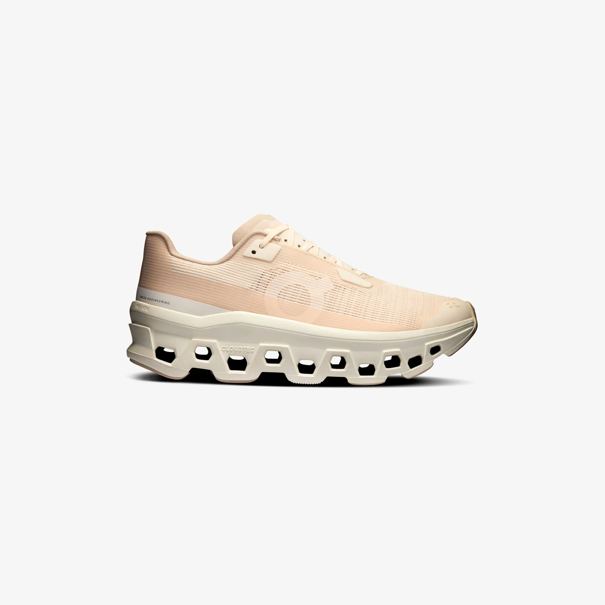 Slip Free Wmns Cloudmonster Void
